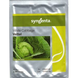 Seminte de varza alba Vettel F1, 2500 seminte