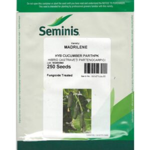 Seminte de castraveti Madrilene F1 250 seminte