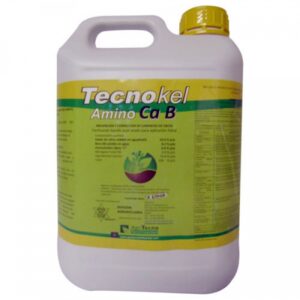 Tecnokel Amino CaB 5L