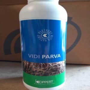 Vidi Parva 1L