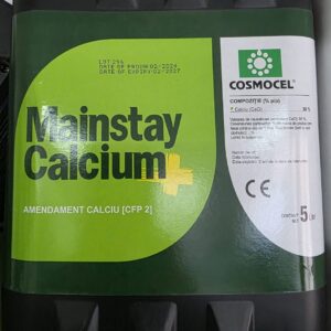 MAINSTAY CALCIO 5L