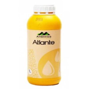 Atlante 1l