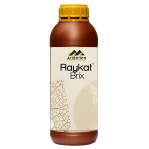 RAYKAT BRIX - 1 L