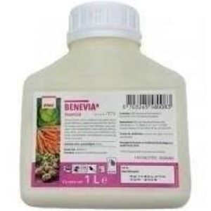 Benevia 1l