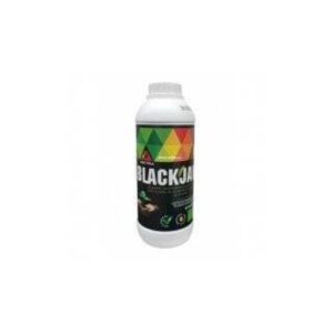 Blackjack 1l