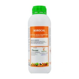 Borocal, 1 l