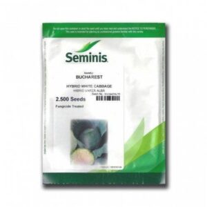 Varza Bucharest F1 1000 sem