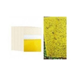 Capcane lipicioase insecte galbene