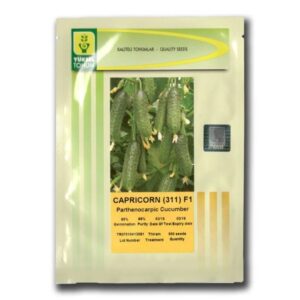 Seminte de castraveti Capricorn F1 1000 sem