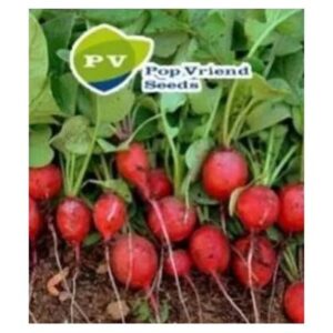 Seminte de ridichi Cherry Belle 50 GR