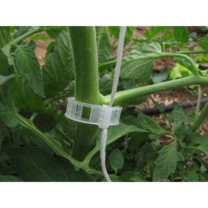 Clipsuri palisare 1 buc