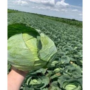 Conqueror F1 2500 sem