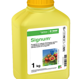 Signum 1kg