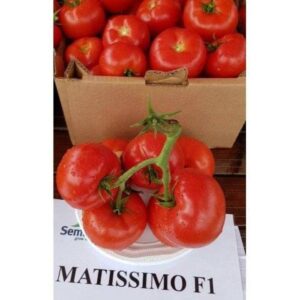 Matissimo F1 500 sem