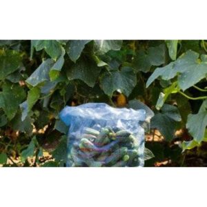 Alternative view of Saci folie castraveti