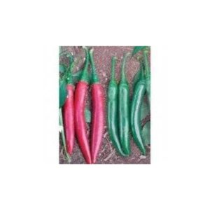 Sahem F1 500 seminte