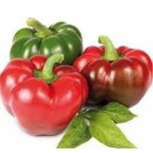 Seminte Ardei gogosar Zeleni 10 gr