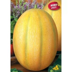 Seminte de pepene galben Gladiator F1, 10 grame, Florian