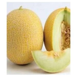 Seminte de pepeni Galia F1 - 5g