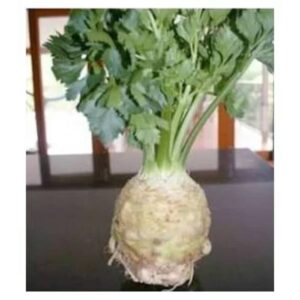 Seminte de telina Cisko RZ, 10.000 seminte