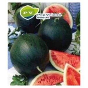 Pepenele Sugar Baby 25 gr