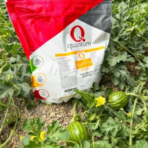 Quantum pentru inflorire 1kg